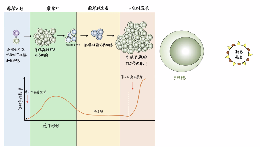 博士说第四期 原文配图