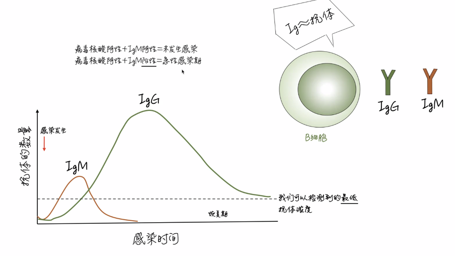 CAPS博士说第四期精彩回顾：关于新冠疫苗的那些事儿（原文配图 3）